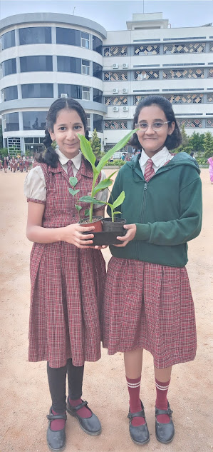 Don Bosco Green Alliance Jun 8, 2023 – Jan 22, 2024