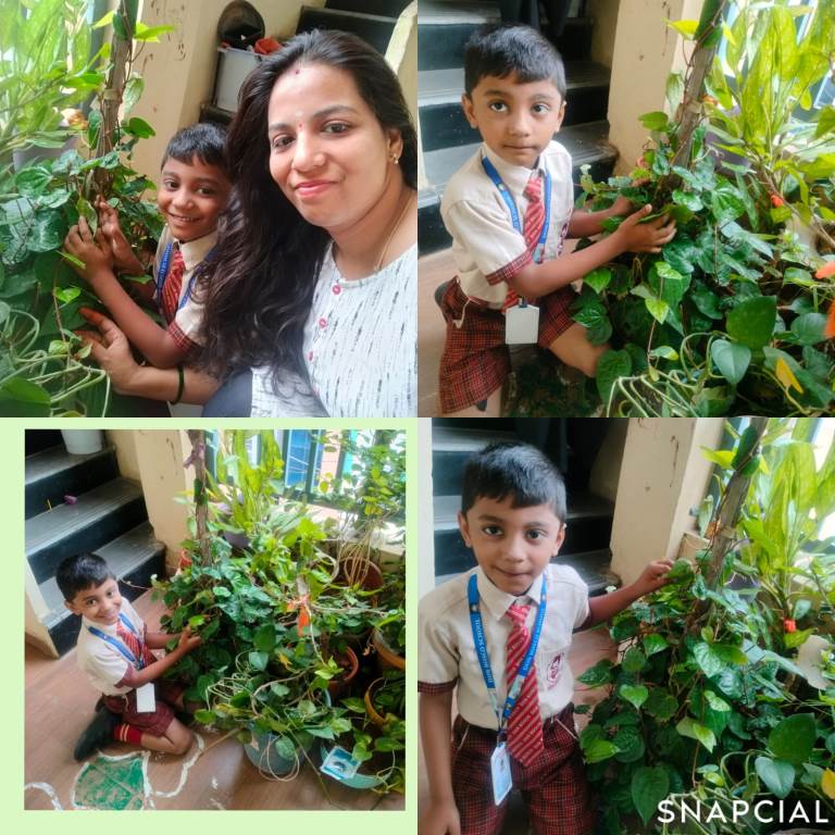 Planting  Saplings with Mom  Aug 1, 2025